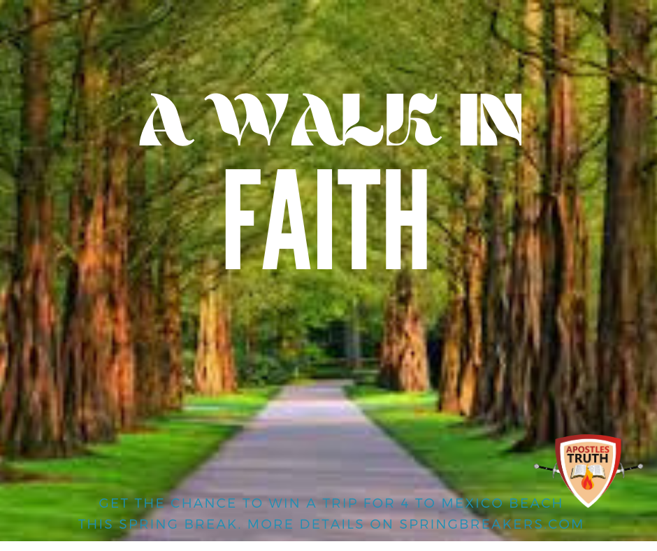 Read more about the article BIBLICAL TRUTHS ABOUT FAITH